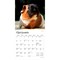 Guinea Pigs | 2026 7 x 14 Inch (Hanging) Monthly Mini Wall Calendar